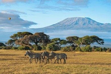 Paza Adventure Africa 3 Days Amboseli Wildelife Safari