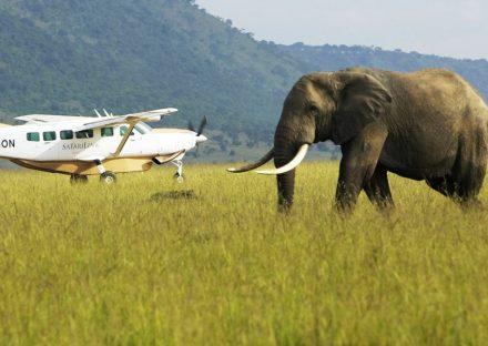 Paza Adventure Africa 3 Days Amboseli Wildelife Safari