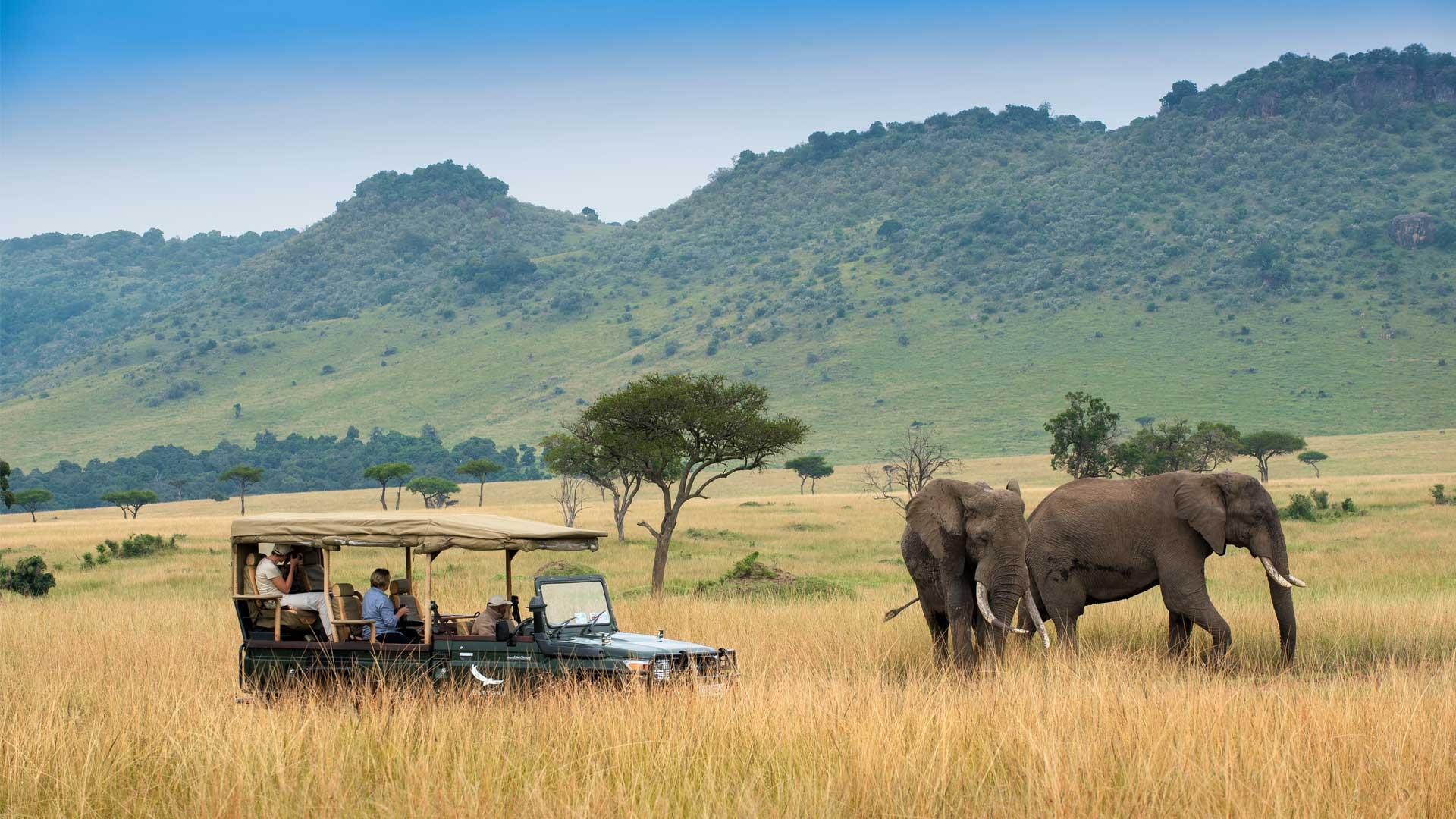 Paza Adventure Africa 4 Days Maasai Mara & Lake Nakuru