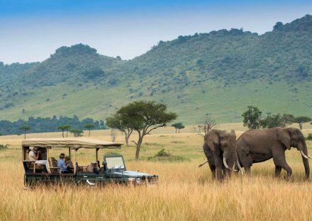 Paza Adventure Africa 4 Days Masai Mara & Lake Nakuru