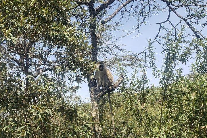 Paza Adventure Africa Day trip to Hells Gate National Park with boat ride on Lake Naivasha