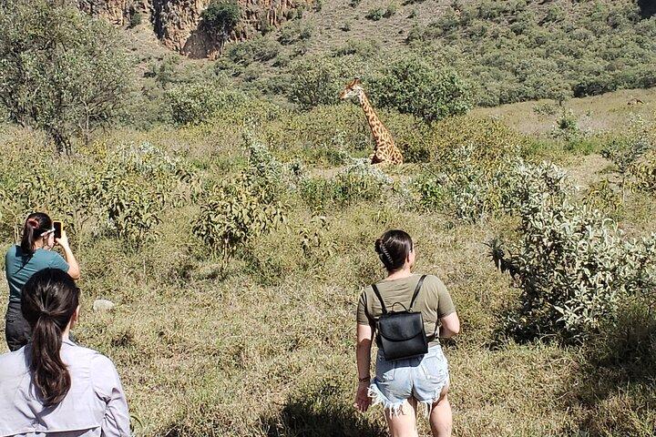 Paza Adventure Africa Day trip to Hells Gate National Park with boat ride on Lake Naivasha
