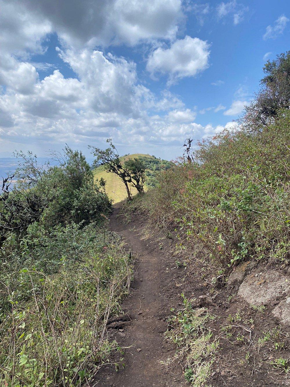 Paza Adventure Africa Private Half Day Hike to Ngong Hills from Nairobi