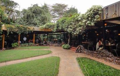 Paza Adventure Africa The Carnivore Experience